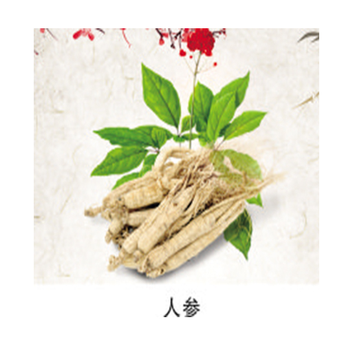 人參